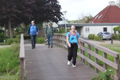IMG_1928