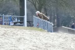 02025-NL-doet-Zandpol-16