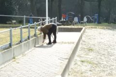 02025-NL-doet-Zandpol-17