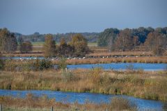 Herfst (sep-okt-nov)