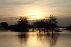 Hoog water Emlichheim