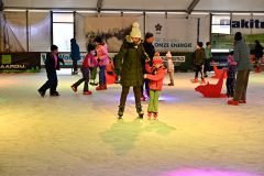 IJSF-Kin-derdisco-2025-13