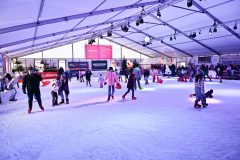 IJSF-Kin-derdisco-2025-17