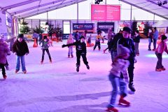 IJSF-Kin-derdisco-2025-18