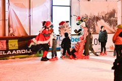 IJSF-Kin-derdisco-2025-6