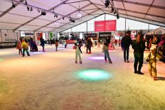 IJSF-Kin-derdisco-2025-7