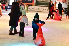 IJSF-Kin-derdisco-2025-8