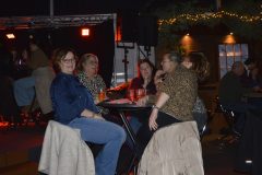 IJs-Pubquiz-1-29