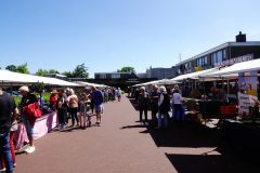 Kunstmarkt-2024-29