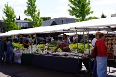 2025-Kunstmarkt-30