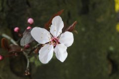 DSCN3728