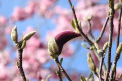 DSCN3748