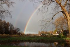 IMG_0878