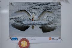 Nieuwjaarsreceptie-2026-38