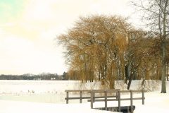 DSCN4236