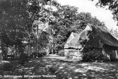 N18-54.-NW-Westersebos-oud