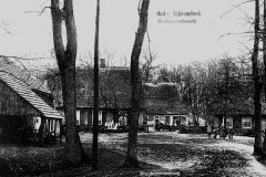 O11-46.-Oostersebos-oud