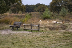IMG_1846-den