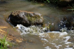 DSC00963