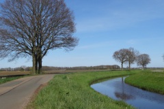 DSC03312