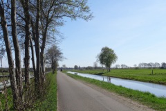 DSC03319