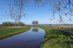 DSC03329
