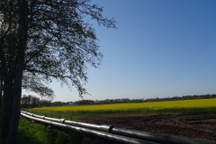 DSC03383