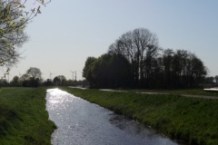 DSC03388