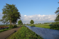 DSC03429