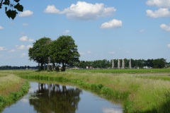 DSC03519