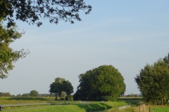 DSC03826