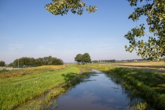 IMG_9701