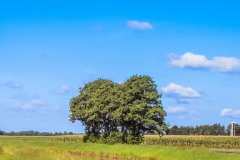 Schoonebeek3