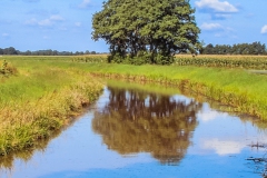 schoonebeek