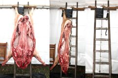 2025-Slachtvisite-15
