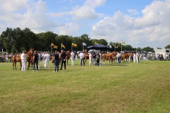 IMG_9440
