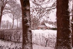 Winter2026-11