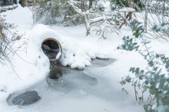 Winter2026-13
