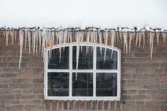 Winter2026-18