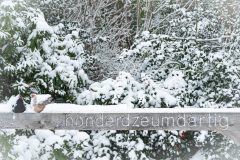 Winter2026-20
