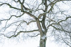 Winter2026-23