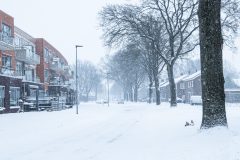 Winter2026-28