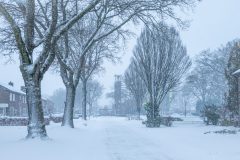 Winter2026-29