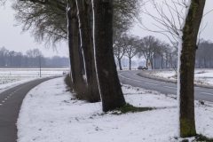 Winter2026-30