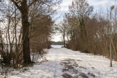 Winter2026-39