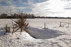 Winter2026-41