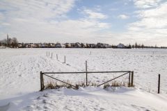 Winter2026-43