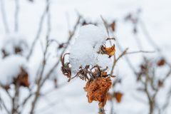 Winter2026-5