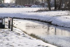Winter2026-51