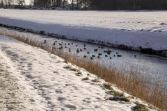 Winter2026-55